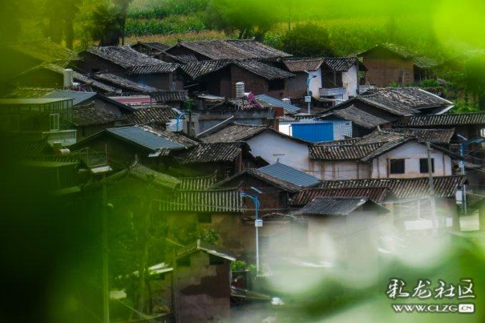 安阳“千万富婆”犯下雇凶杀人焚尸案，被捕后交代：他是我情夫